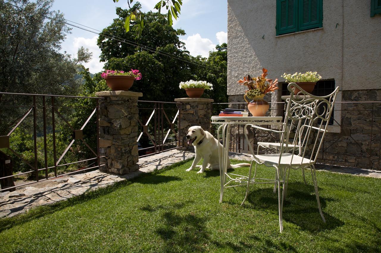 Bed and Breakfast La Casa Dei Nonni Castelbianco à Colletta Extérieur photo