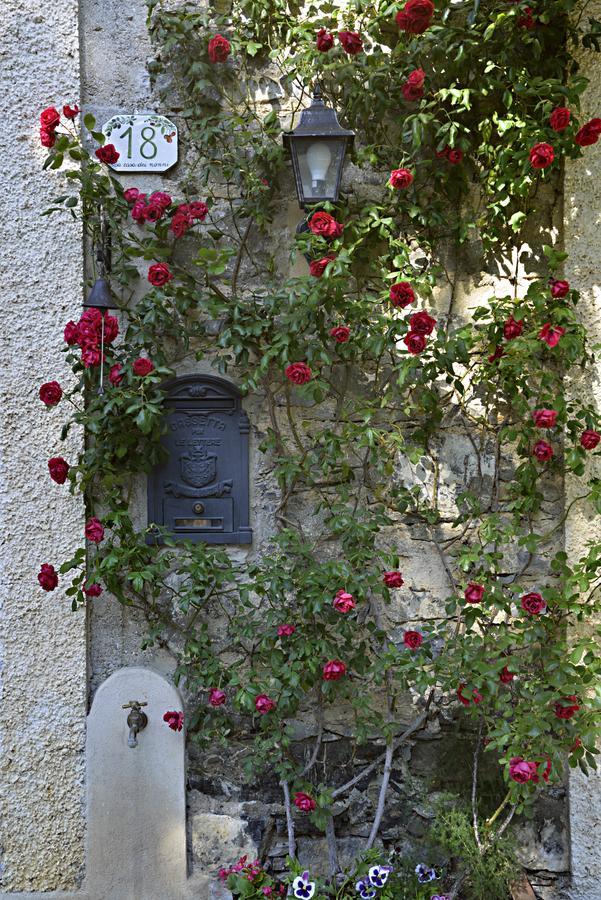 Bed and Breakfast La Casa Dei Nonni Castelbianco à Colletta Extérieur photo